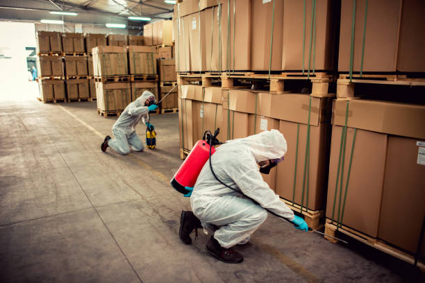 Best Commercial Pest Control Services  in South Barre, VT