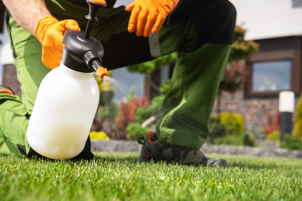 Best Insect Control  in South Barre, VT