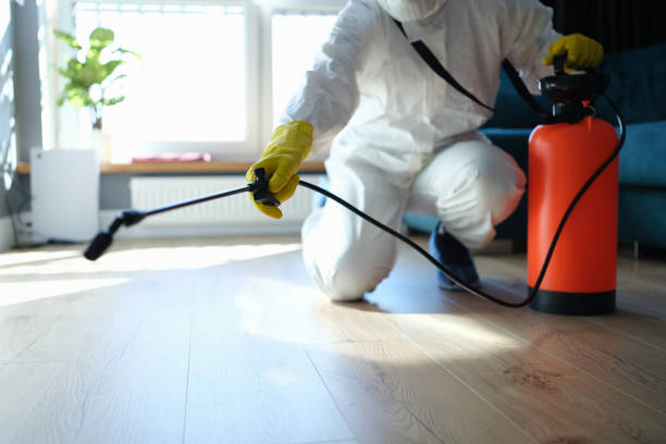 Best Wasp Removal Services  in South Barre, VT