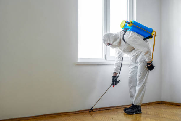 Best Affordable Pest Control Services  in South Barre, VT
