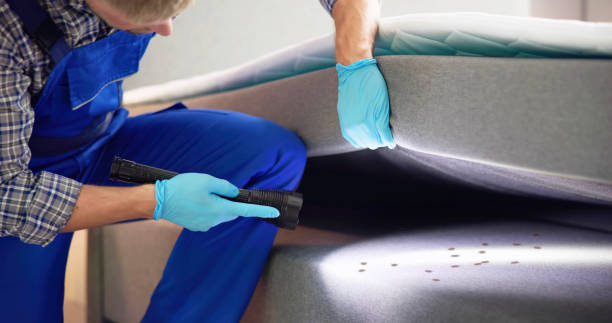Best Ant Control Services  in South Barre, VT
