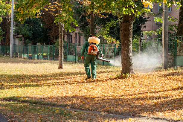 Best Emergency Pest Control  in South Barre, VT