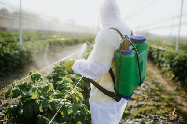 Best Pest Inspection Near Me  in South Barre, VT